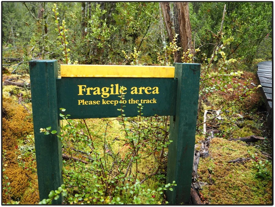 36.jpg?type=w966&jopt=2