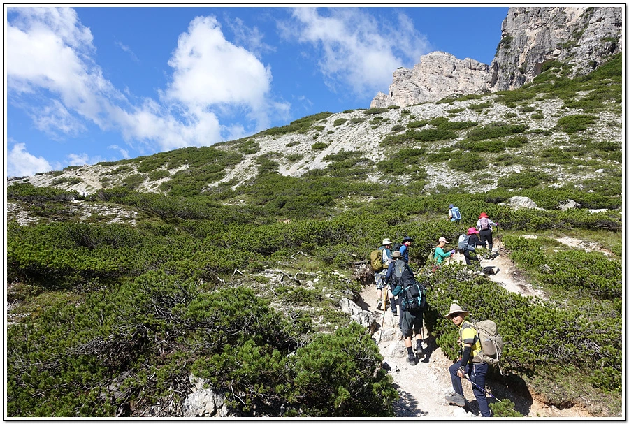 DSC00134.jpg?type=w966&jopt=2