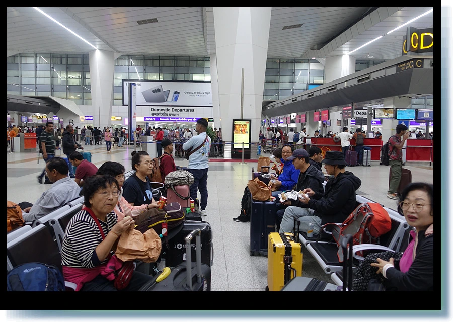 DSC00389.jpg?type=w966