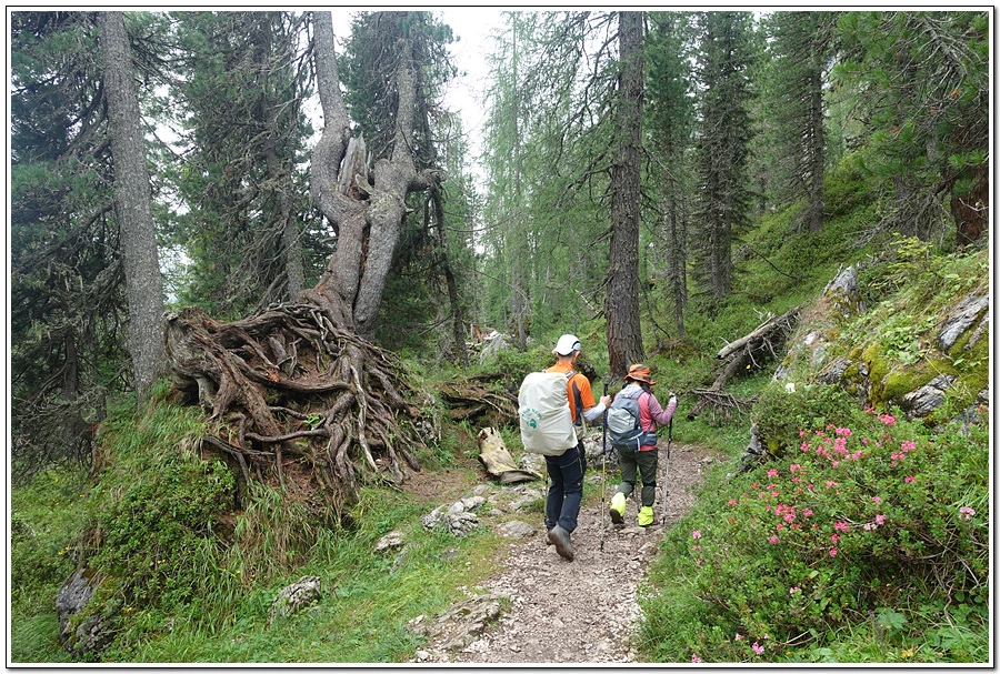 DSC00212.jpg?type=w966&jopt=2