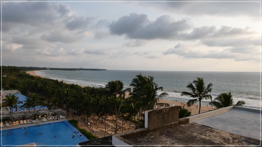 P1022079.jpg?type=w966