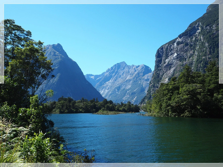 29.jpg?type=w966&jopt=2