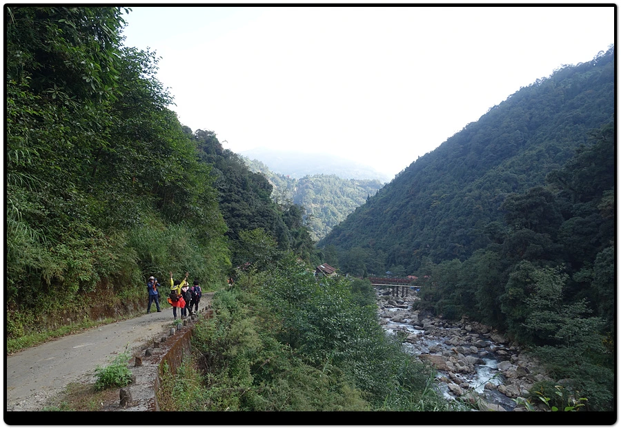 DSC01260.jpg?type=w966