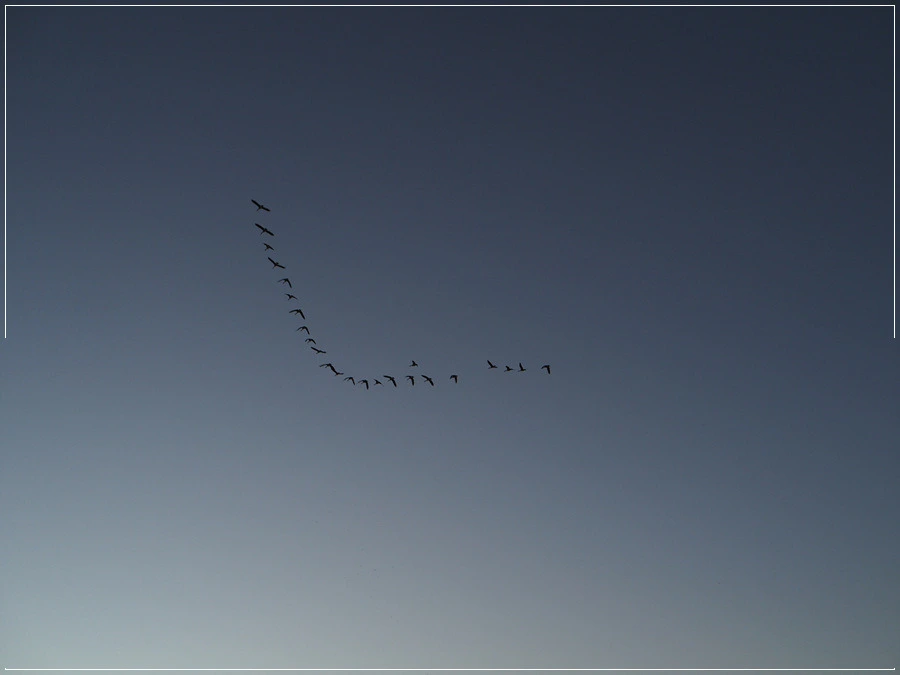 24.jpg?type=w966&jopt=2