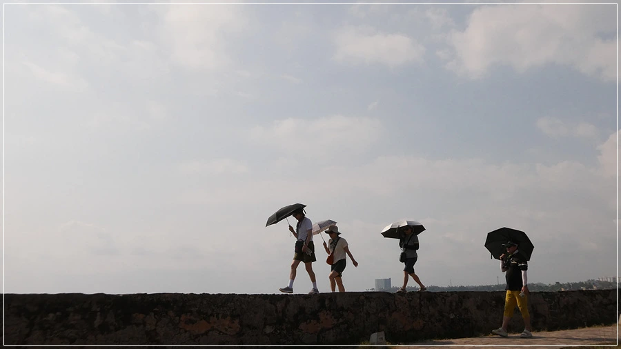 P1022038.jpg?type=w966