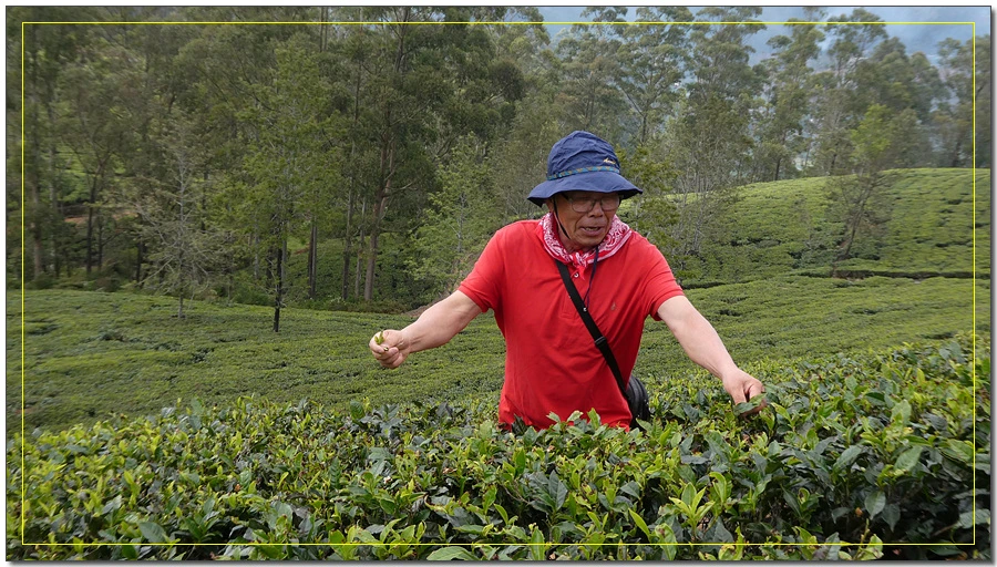 P1011629.jpg?type=w966