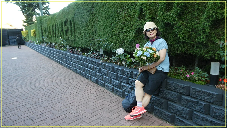 P1011402.jpg?type=w966