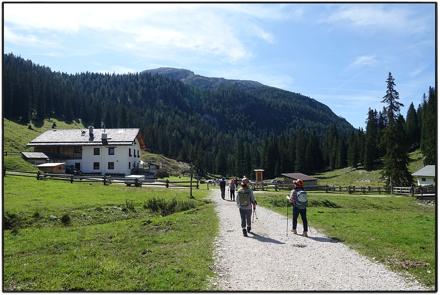 DSC00181.jpg?type=w966&jopt=2