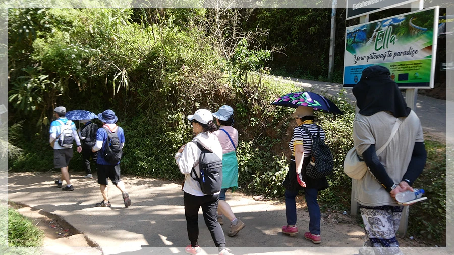 P1021790.jpg?type=w966