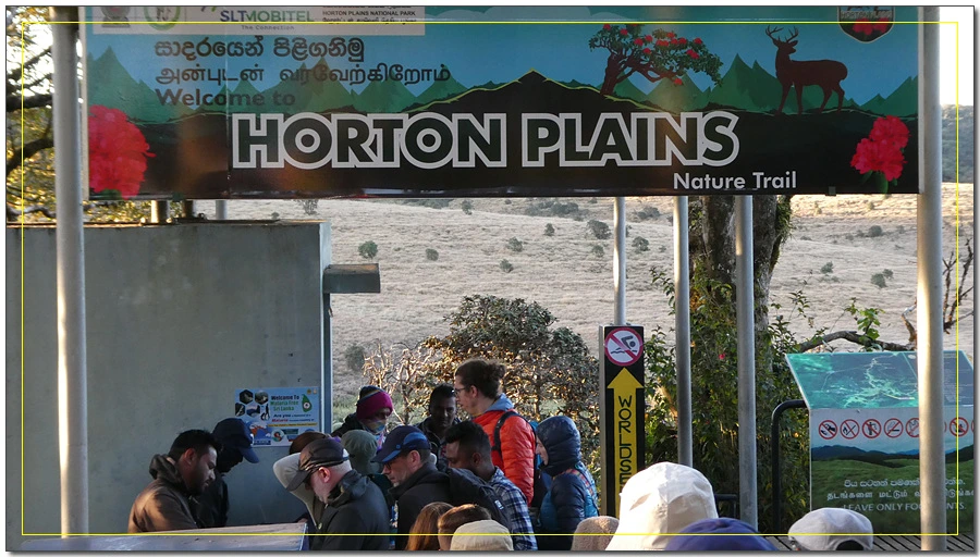 P1011453.jpg?type=w966