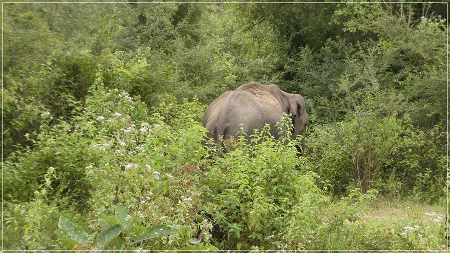 P1021954.jpg?type=w966