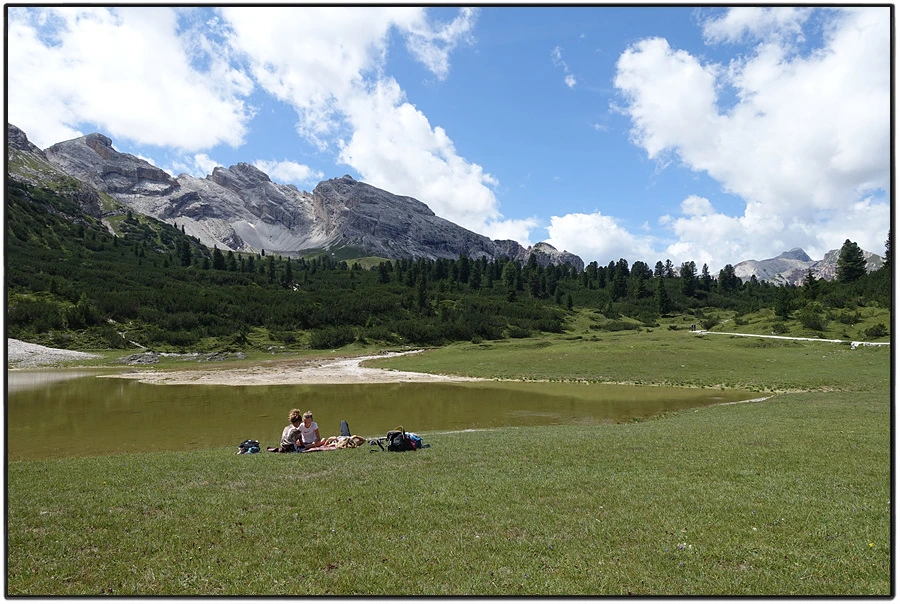 DSC00212.jpg?type=w966&jopt=2