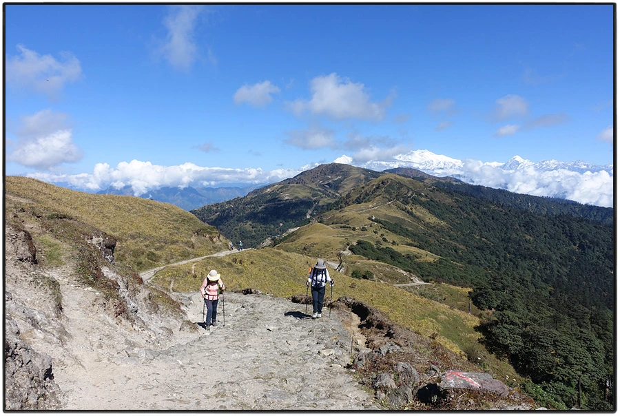 DSC01018.jpg?type=w966