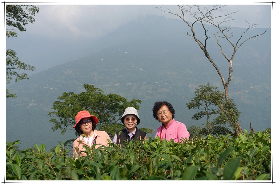 DSC01375.jpg?type=w966