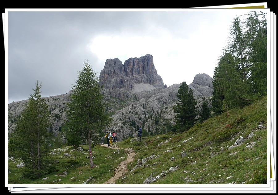 DSC00293.jpg?type=w966&jopt=2