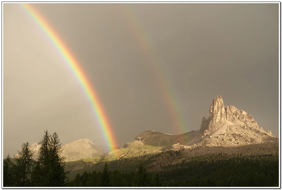 DSC00286.jpg?type=w966&jopt=2