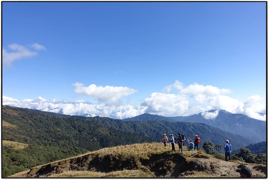 DSC01010.jpg?type=w966