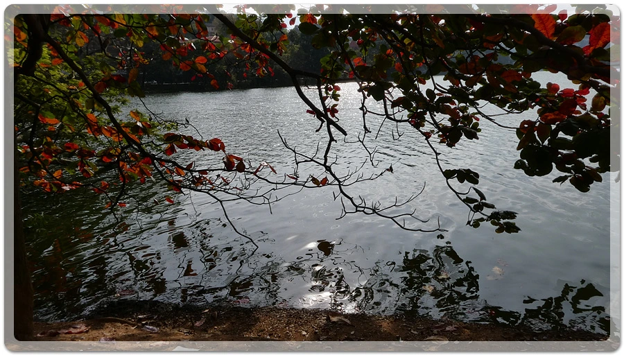 P1011186.jpg?type=w966