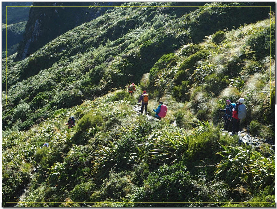 25.jpg?type=w966&jopt=2