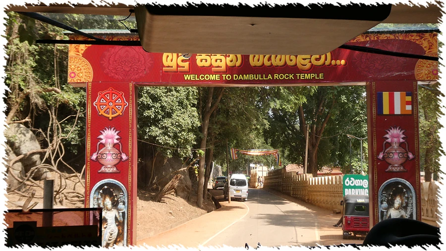 P1010858.jpg?type=w966