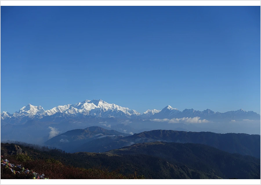 DSC01147.jpg?type=w966