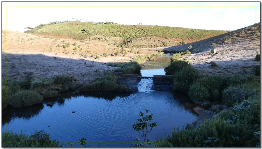 P1011471.jpg?type=w966