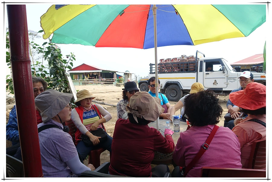 DSC01381.jpg?type=w966