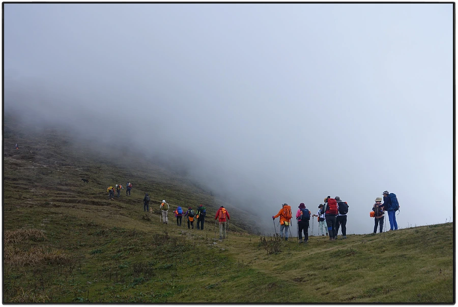 DSC01083.jpg?type=w966