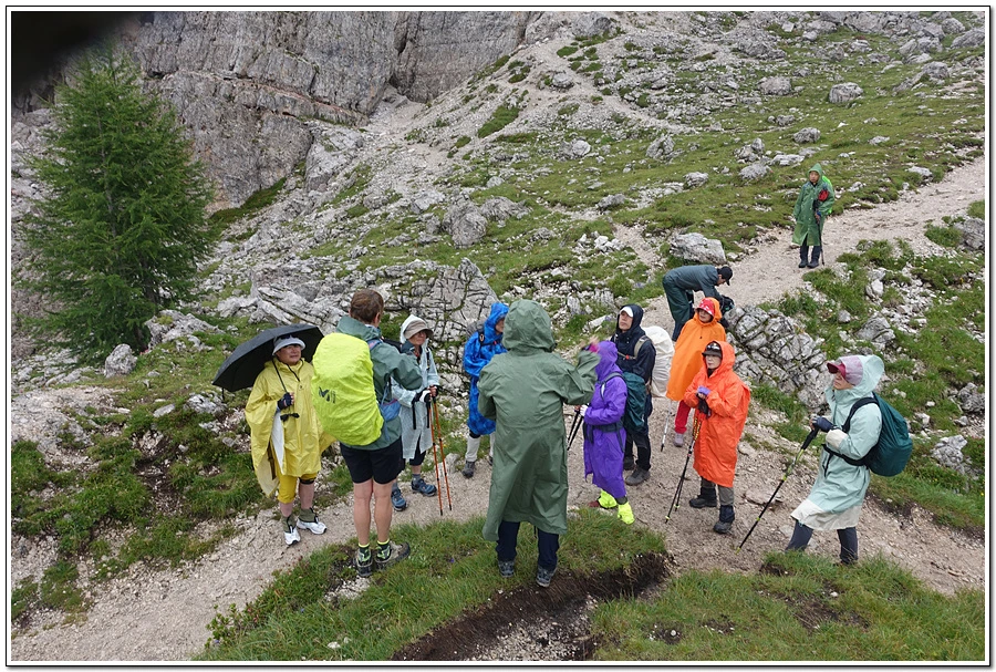 DSC00059.jpg?type=w966&jopt=2