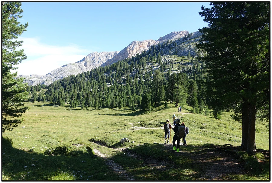 DSC00097.jpg?type=w966&jopt=2