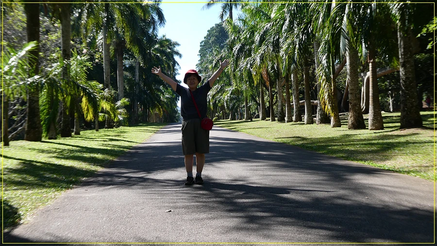 P1011291.jpg?type=w966