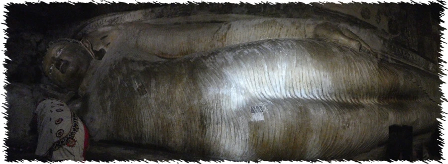 P1010884.jpg?type=w966