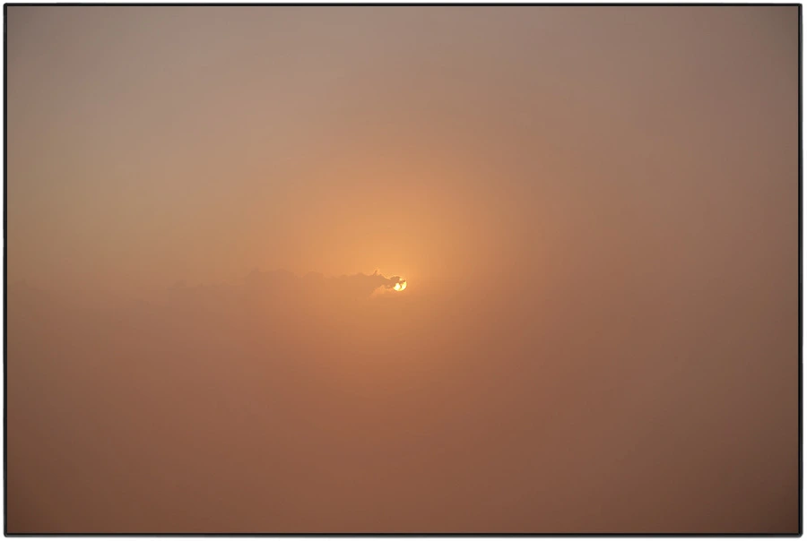 DSC00900.jpg?type=w966