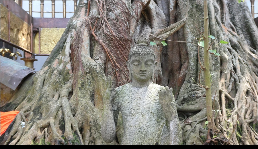 P1022214.jpg?type=w966