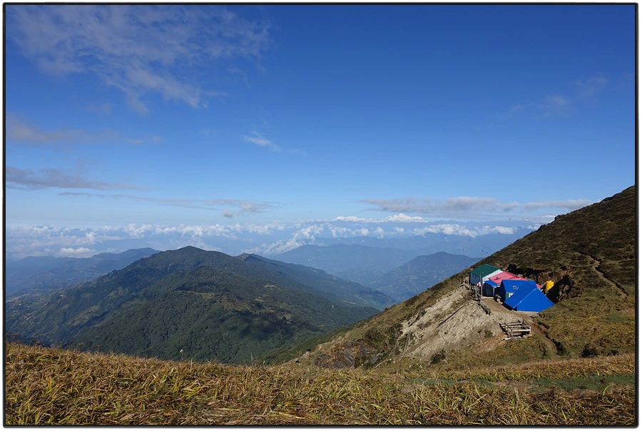 DSC00947.jpg?type=w966