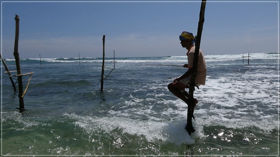 P1021989.jpg?type=w966