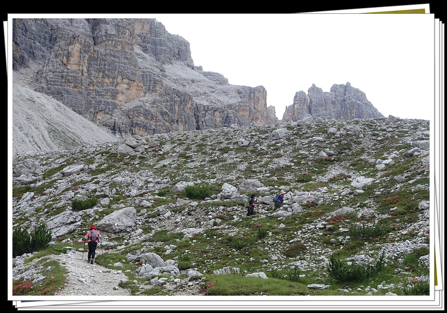 DSC00041.jpg?type=w966&jopt=2