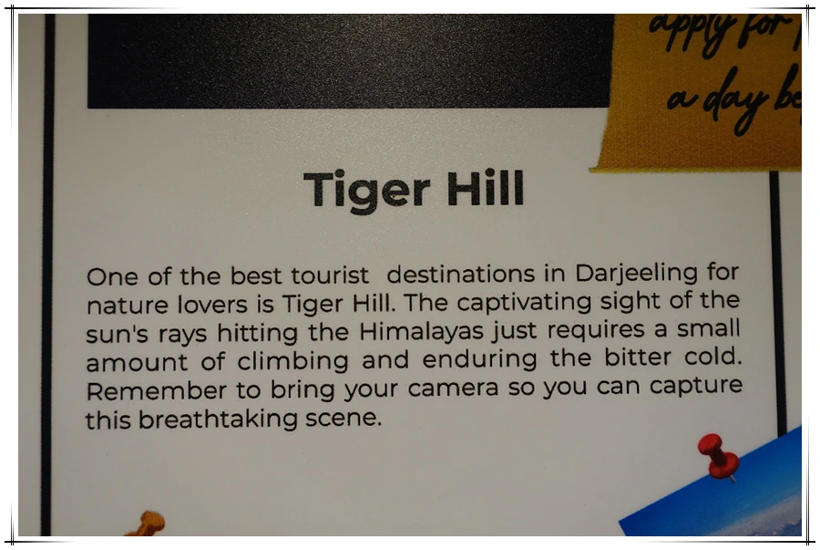 DSC01353.jpg?type=w966