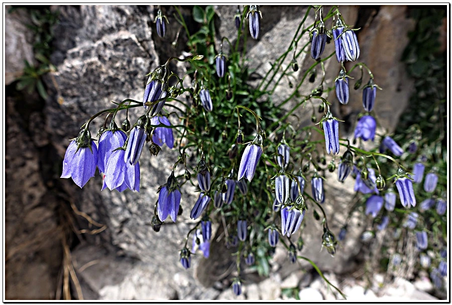 6.jpg?type=w966&jopt=2