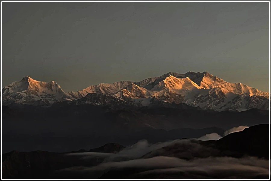 KakaoTalk_20241110_222407248.jpg?type=w966