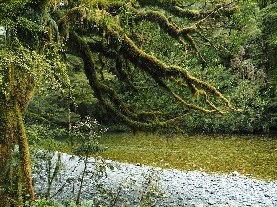 34.jpg?type=w966&jopt=2