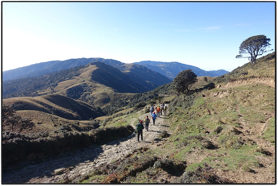 DSC00948.jpg?type=w966