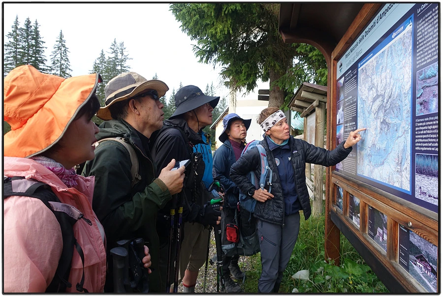 DSC00044.jpg?type=w966&jopt=2