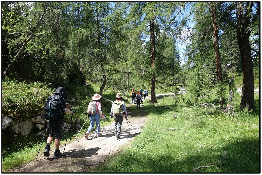 DSC00207.jpg?type=w966&jopt=2