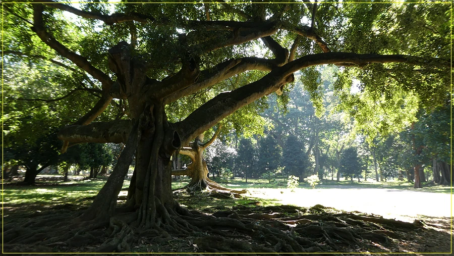 P1011271.jpg?type=w966