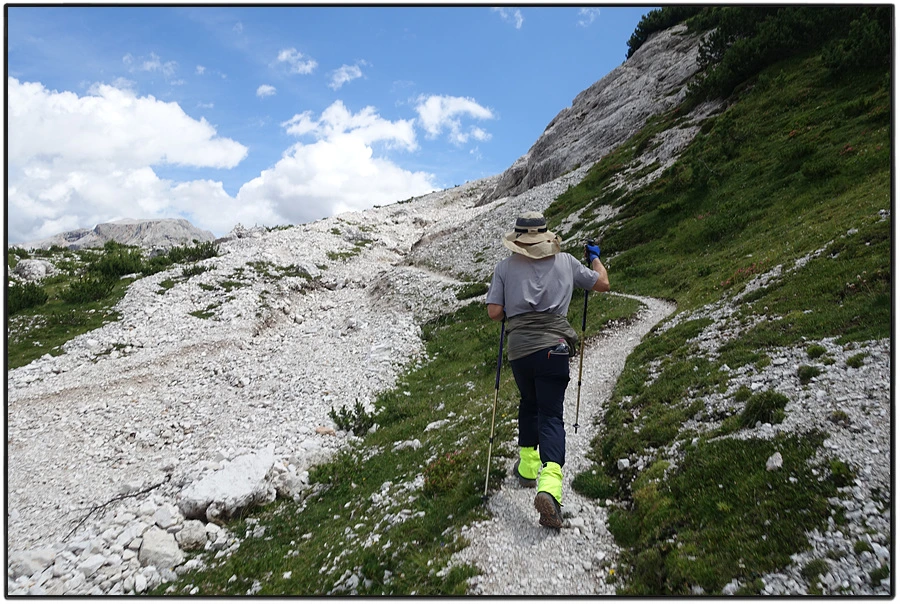 DSC00216.jpg?type=w966&jopt=2