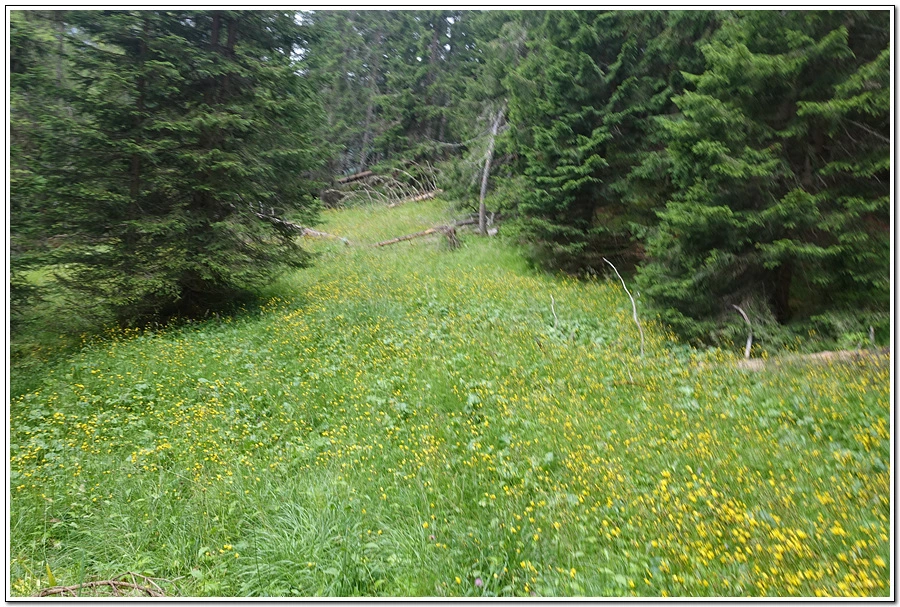 DSC00128.jpg?type=w966&jopt=2