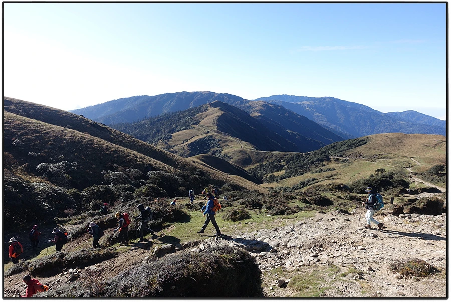 DSC00946.jpg?type=w966