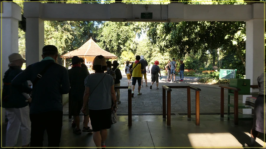 P1011242.jpg?type=w966