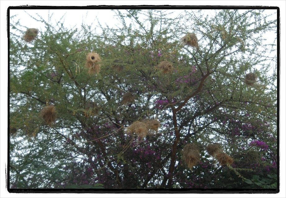 17.jpg?type=w966&jopt=2